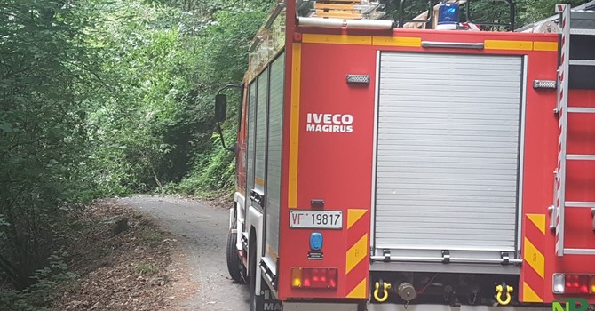 Maltempo nel Biellese, pianta cade su un palo Enel a Vallanzengo, foto archivio