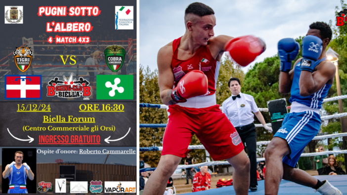 La grande boxe torna a Biella, domenica 15 l’evento gratuito. La grande boxe torna a Biella, domenica 15 l’evento gratuito.