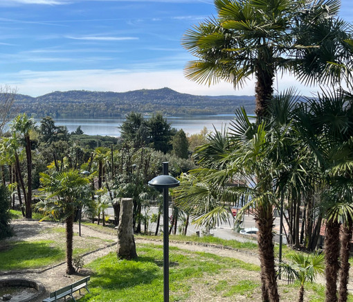 Viverone, nuovo volto per il parco di Villa Lucca: sempre più un luogo di incontro tra natura, cultura e territorio (foto dalla pagina Facebook di Viverone Insieme)