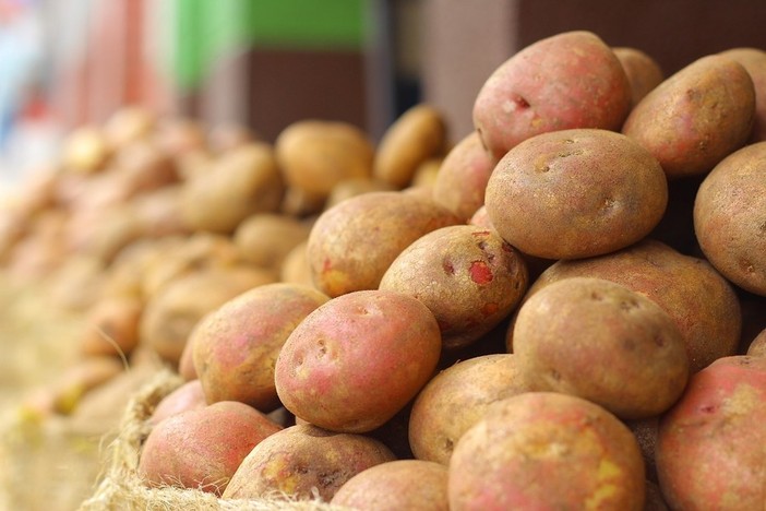 A Chiavazza una vendita benefica di patate A Chiavazza una vendita benefica di patate