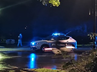 Biella, ubriaco finisce con l’auto nei Giardini Alpini d'Italia