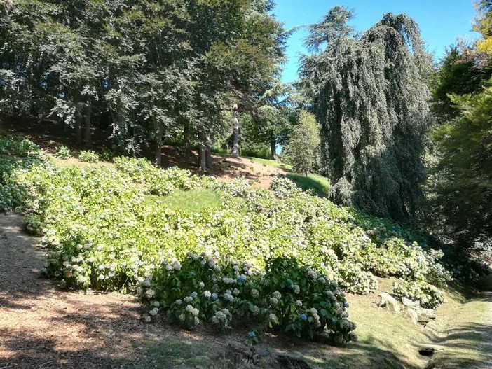 Pollone, cura del verde e opere di pulizie al Parco Burcina (foto di repertorio)