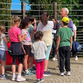 Quaregna Cerreto: bambini protagonisti al Junior Day Divertisport Quaregna Cerreto: bambini protagonisti al Junior Day Divertisport