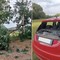Raffiche di vento a Quaregna Cerreto, il tronco di un albero colpisce un’auto