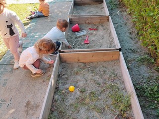 I frutti dell'Adunata: a Quaregna Cerreto una casetta per il nido grazie agli Alpini di Villorba  FOTO