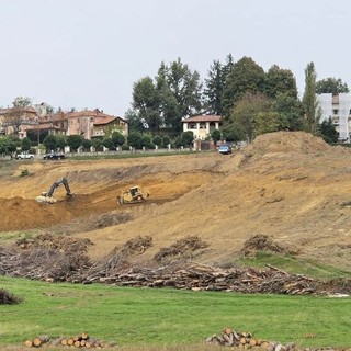 Quaregna Cerreto riscopre le sue radici: tornano i vigneti