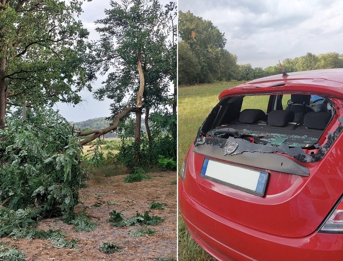 Raffiche di vento a Quaregna Cerreto, il tronco di un albero colpisce un’auto Raffiche di vento a Quaregna Cerreto, il tronco di un albero colpisce un’auto