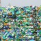 Riciclo plastica, MASE: prosegue confronto con filiera e Regioni Riciclo plastica, MASE: prosegue confronto con filiera e Regioni