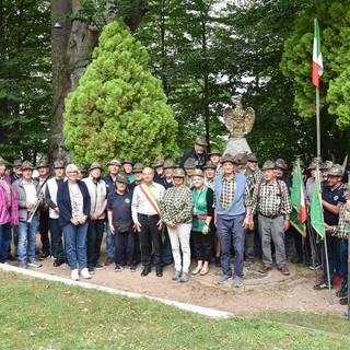 graglia alpini