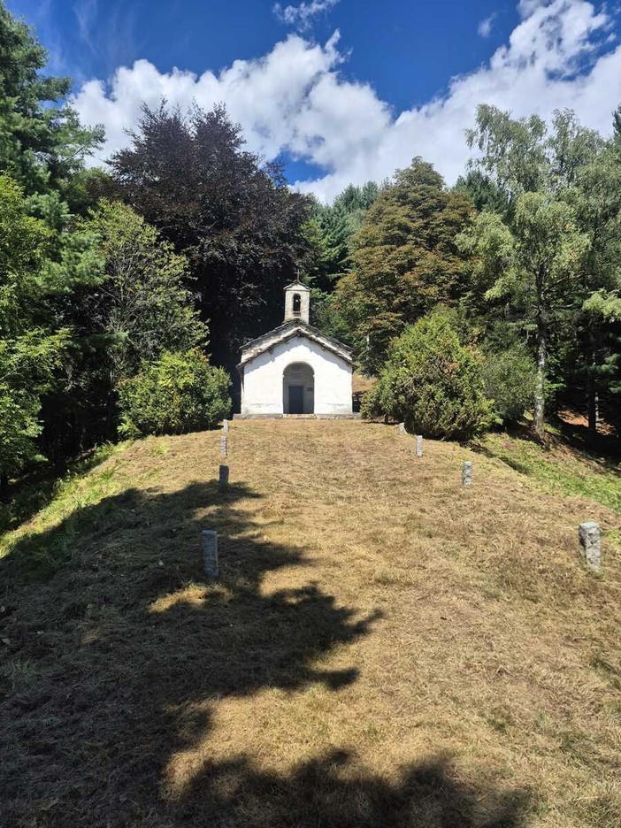 Rialmosso, volontari al lavoro per salvare l’area di San Grato: "Non lasciamola come il Monte Barone" Rialmosso, volontari al lavoro per salvare l’area di San Grato: "Non lasciamola come il Monte Barone"