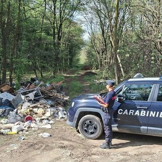 Dal Nord Ovest - Mezza tonnellata di rifiuti abbandonati in un bosco, 4 denunce e multa da 12mila euro