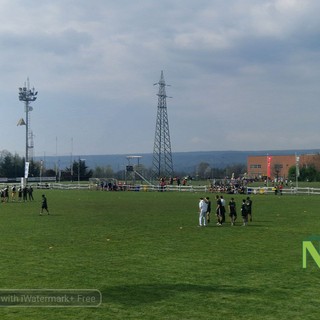 Il Comune di Biella investe nello sport: 700mila euro per il nuovo manto sintetico del campo da rugby