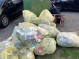 Rifiuti abbandonati attorno alle campane del vetro: "Uno scempio nel centro di Biella" Rifiuti abbandonati attorno alle campane del vetro: "Uno scempio nel centro di Biella"