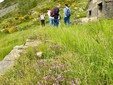 Turismo accessibile in Valle Cervo, primo passo del progetto tra Rosazza e Campiglia Cervo Turismo accessibile in Valle Cervo, primo passo del progetto tra Rosazza e Campiglia Cervo