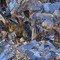 Biella, a Cossila San Grato una mostra scambio di minerali e fossili (foto di repertorio) Biella, a Cossila San Grato una mostra scambio di minerali e fossili (foto di repertorio)
