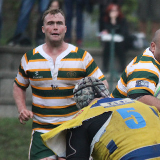 Rugby - Gli Orsi giocano la carta vincente Ray Wells Rugby - Gli Orsi giocano la carta vincente Ray Wells