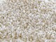 Si avvicina l'etichettatura obbligatoria di origine del riso