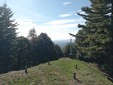 Rialmosso, volontari al lavoro per salvare l’area di San Grato: "Non lasciamola come il Monte Barone" Rialmosso, volontari al lavoro per salvare l’area di San Grato: "Non lasciamola come il Monte Barone"