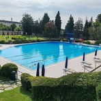 Biella, il Comune interviene sul Faggio storico della piscina Rivetti: “Necessaria la rimozione per garantire sicurezza” Biella, il Comune interviene sul Faggio storico della piscina Rivetti: “Necessaria la rimozione per garantire sicurezza”