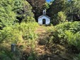 Rialmosso, volontari al lavoro per salvare l’area di San Grato: "Non lasciamola come il Monte Barone" Rialmosso, volontari al lavoro per salvare l’area di San Grato: "Non lasciamola come il Monte Barone"