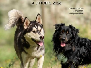 Cani salvati e adottati, a Sandigliano il primo grande raduno dei rescue