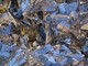 Biella, a Cossila San Grato una mostra scambio di minerali e fossili (foto di repertorio) Biella, a Cossila San Grato una mostra scambio di minerali e fossili (foto di repertorio)