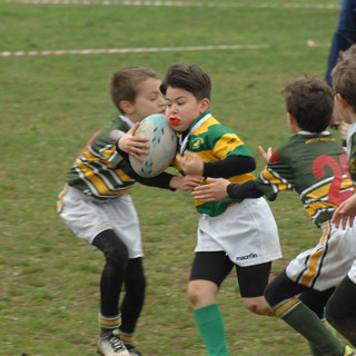 Rugby: Biella ospiterà i campionati studenteschi