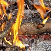 Incendi e abbruciamenti vietati in Piemonte: cosa rischi se non rispetti la legge