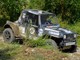rally gara rally gara