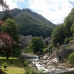 Fiocco rosa a Rosazza, un momento atteso da quasi 20 anni: sarà posata una pianta simbolica (foto di repertorio)