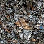 Spariscono le lampadine, aumentano i pannelli fotovoltaici: la società che cambia si riflette anche nella raccolta rifiuti