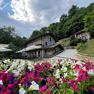 Estate al rifugio Nel Bosco di Alice: fra nuove proposte, eventi e sapori locali