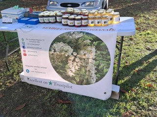 Festa di Santa Lucia a Salussola tra mercatini, trenino e presepi Festa di Santa Lucia a Salussola tra mercatini, trenino e presepi