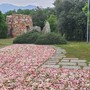 Infiorata dell’area monumentale di “Nuraghe Chervu” e pietra di Bordolano inserita nel selciato di memoria