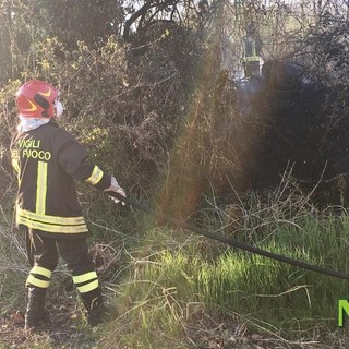 Sterpaglie a fuoco: dopo Ronco, Vigili del Fuoco al lavoro con AIB a Cavaglià, foto archivio
