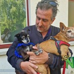 Rinunce di proprietà di cani e gatti, numeri in aumento nel Biellese. Scicolone: “Sempre più richieste da anziani e famiglie” Rinunce di proprietà di cani e gatti, numeri in aumento nel Biellese. Scicolone: “Sempre più richieste da anziani e famiglie”