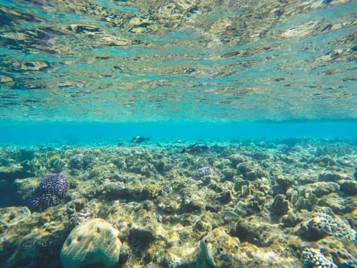 Natale a Sharm el-Sheikh: vivere le feste tra mare e colori del Sinai Natale a Sharm el-Sheikh: vivere le feste tra mare e colori del Sinai