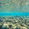 Natale a Sharm el-Sheikh: vivere le feste tra mare e colori del Sinai Natale a Sharm el-Sheikh: vivere le feste tra mare e colori del Sinai