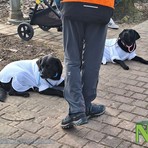 Lo studio del comportamento animale sbarca a Torino: al Lingotto il congresso mondiale ISBE 2026 Lo studio del comportamento animale sbarca a Torino: al Lingotto il congresso mondiale ISBE 2026
