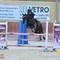 Equitazione, Il Rosignolo vince a Tortona: Ruffino e Casaliggi a Fieracavalli Verona Equitazione, Il Rosignolo vince a Tortona: Ruffino e Casaliggi a Fieracavalli Verona