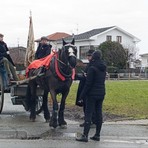 Candelo celebra Sant’Antonio Abate: questa mattina la tradizionale sfilata - Servizio di Mattia Baù per newsbiella.it