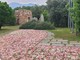 Infiorata dell’area monumentale di “Nuraghe Chervu” e pietra di Bordolano inserita nel selciato di memoria Infiorata dell’area monumentale di “Nuraghe Chervu” e pietra di Bordolano inserita nel selciato di memoria