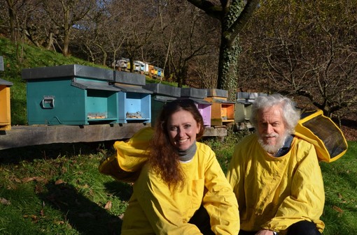 miele valdilana miele valdilana