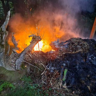 Biella, sterpaglie a fuoco: scatta l’allarme in serata al Vandorno Biella, sterpaglie a fuoco: scatta l’allarme in serata al Vandorno