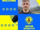 calcio sperotto calcio sperotto