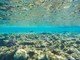 Natale a Sharm el-Sheikh: vivere le feste tra mare e colori del Sinai Natale a Sharm el-Sheikh: vivere le feste tra mare e colori del Sinai