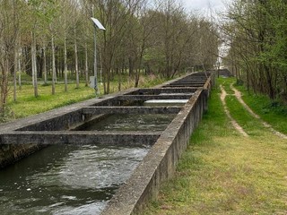 A Salussola la Giornata dei Camminatori, Chioda: "Un bel momento per fare comunità"