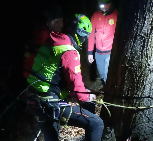 Dal Nord-ovest (VB), esce in cerca di funghi e non fa ritorno: 85enne trovato morto all’Alpe Camasca Dal Nord-ovest (VB), esce in cerca di funghi e non fa ritorno: 85enne trovato morto all’Alpe Camasca