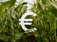 Pagamenti Pac, il Piemonte accelera: erogati 336 milioni agli agricoltori Pagamenti Pac, il Piemonte accelera: erogati 336 milioni agli agricoltori