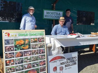 24ª Sagra del Macagn: Crocemosso saluta l’estate con due giorni di tradizione, gusto e comunità 24ª Sagra del Macagn: Crocemosso saluta l’estate con due giorni di tradizione, gusto e comunità